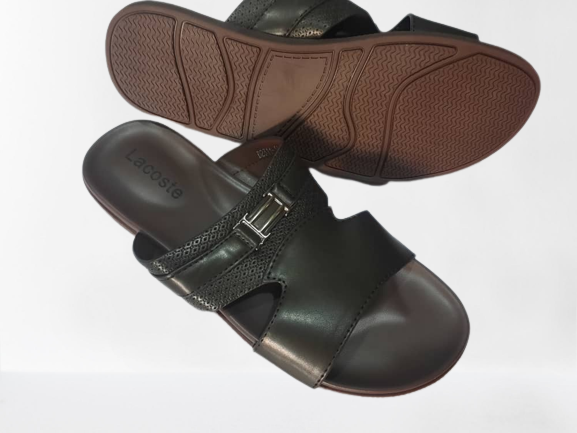 IMG-20221123-WA0004-removebg-preview