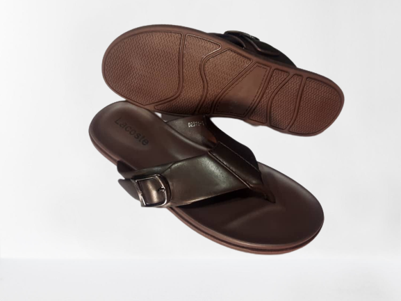 IMG-20221126-WA0001-removebg-preview (2)